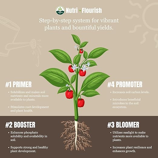 Primer and Bloomer – Natural Plant Enhancer | Soil &amp Root Support for Healthy Growth | Beneficial Bacteria Formula for Vegetables Flowers &amp Ornamentals | Garden &amp Potting Mix 2-Pack