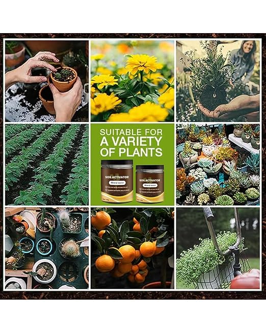 Soil Activated - Soil Activator for Plants Organic Soils Activator &amp Plant Fertilizer for Raised Garden Beds Potting Mix and Seedling Compost Prevent Compaction Promote Plant Rooting 60g (5)