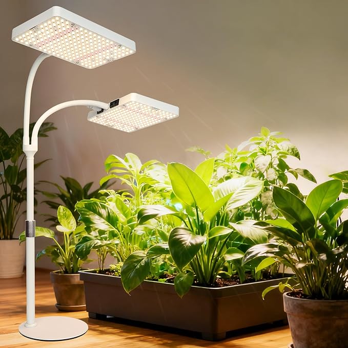 2Head Tabletop Grow Light Bright and Big Coverage Grow Lights for Seed Starting Bonsai Succulent 4/8/12/16/20H Timer 50 Watt Power Draw NO Need Adapter 16-24 Height Adjustable