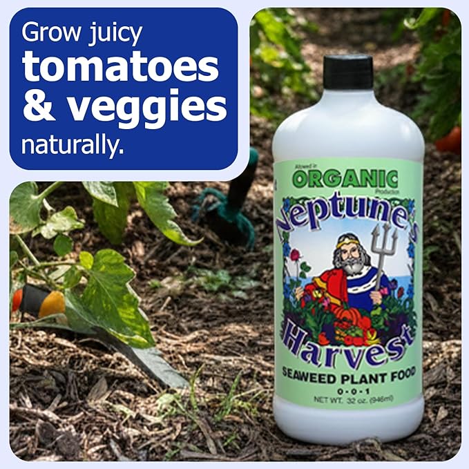 Neptune’s Harvest Seaweed Plant Food (0-0-1) - Multi-Purpose Seaweed Organic Liquid Fertilizer - Indoor &amp Outdoor Plant Fertilizer for Lawns Gardens Vegetables &amp Flowers (Quart)