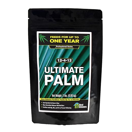 Real Growers Ultimate Palm Tree Fertilizer 12-4-11 – 12 Month Slow Release Granular Plant Food for Indoor &amp Outdoor Palms Sago Palm &amp Cycads – 2 lb