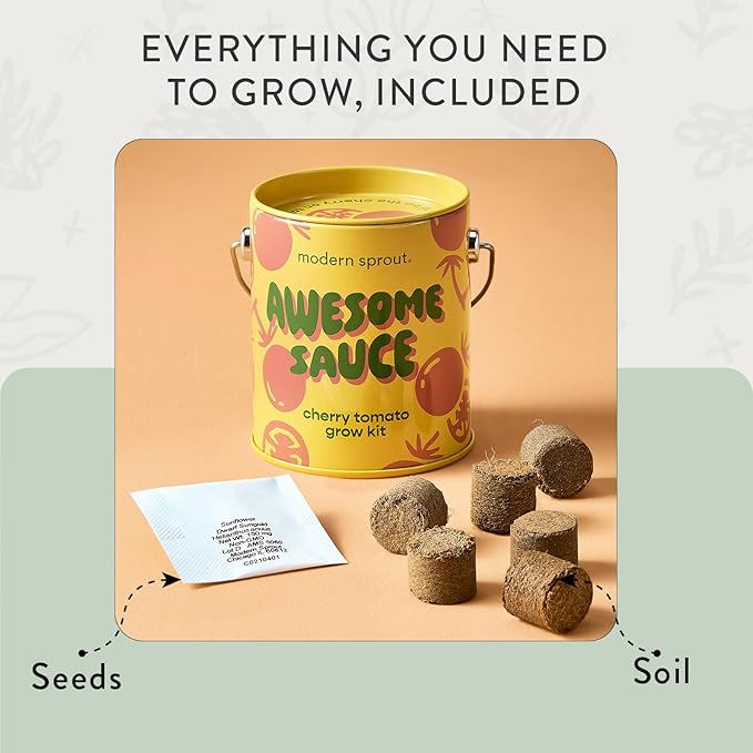 Modern Sprout Complimentary Color Grow Kits (Pack of 6) - Seed Starter Kit - Includes Strawberry Sunflower Cactus Tomato Melon &amp Lavender Seeds - Gardening Gifts that Grows with Love