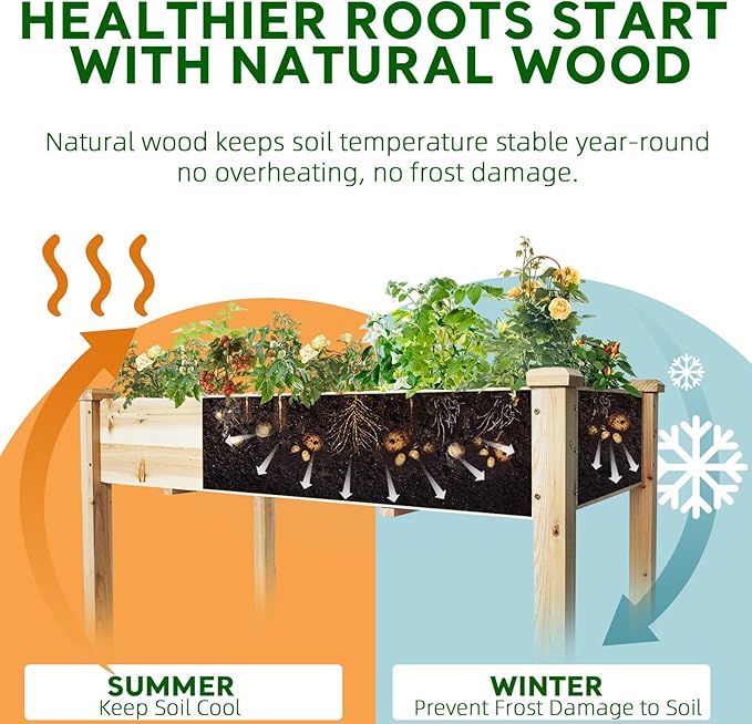 BSP Raised Garden Bed with Legs Outdoor Elevated Planter Box Flower Bed Wood Planter for Vegetable Herb Upgraded Solid Structure Growing Box Suitable for Backyard Patio and Balcony 48”L X 24”W