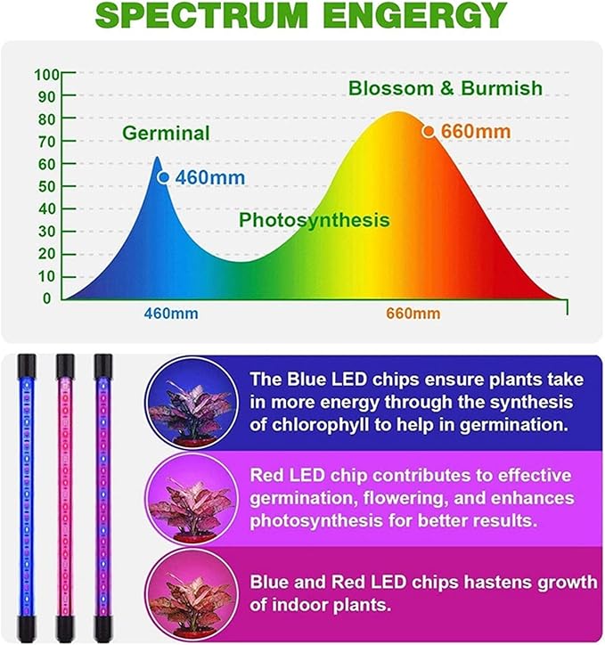 40W LED Full Spectrum Grow Lamps with Bracket Dimmable Greenhouse Flower Adjustable Floor Plant Growing Lights with Timer