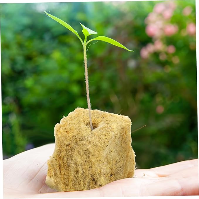 100Pcs Hydroponic Plant Starter Cubes for Soilless Cultivation Nutrition Cubes Cuttings for Indoor Garden Systems