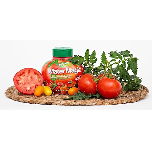 Dynamite Natural and Organic Mater Magic Plant Food 0.675-Pound (4 Qty)