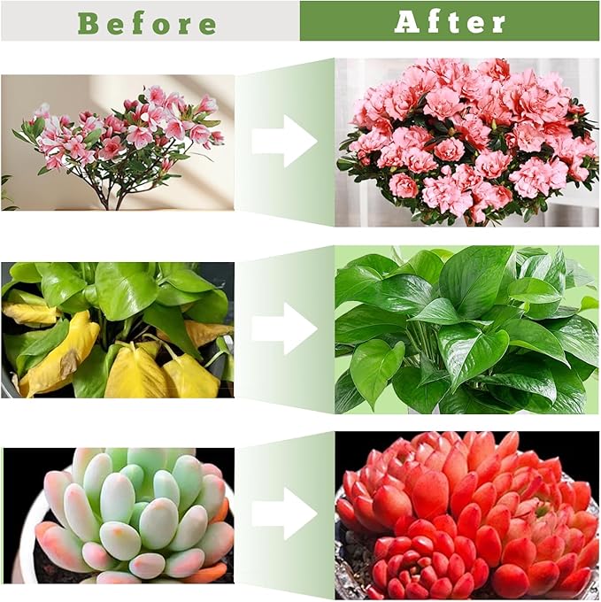 Grow Lights for Indoor Plants - Red &amp Blue Spectrum LED Plant Light with Auto 3/9/12H Timer 10 Dimmable Levels &amp Sturdy Gooseneck - Ideal for Herbs Succulents Houseplants in Home/Office (1