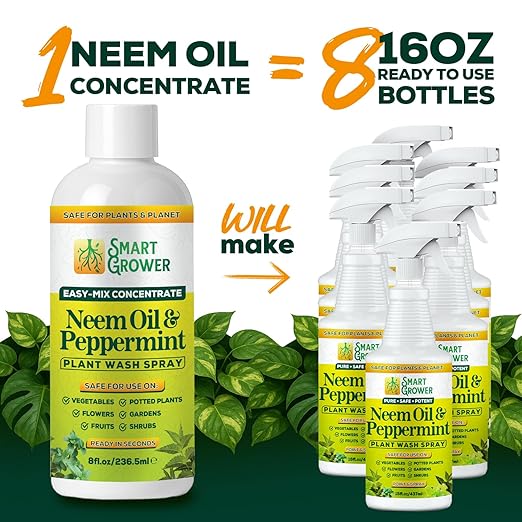 Neem Oil Spray for Plants with Peppermint Oil – for Indoor &amp Outdoor Plants Gardens &amp Houseplants– Best Value Refill 8 oz Concentrate Makes 1 Gallon RTU