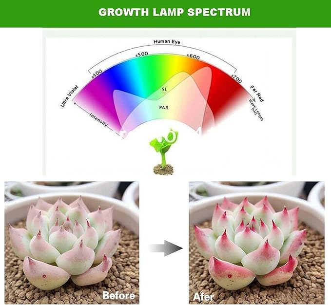 Plant Grow Lights Bulb200 LEDs Red and Blue Spectrum LED Indoor Plants Lights for Growing Seedling Vegetative Fruiting and Flowering. Pack of 4