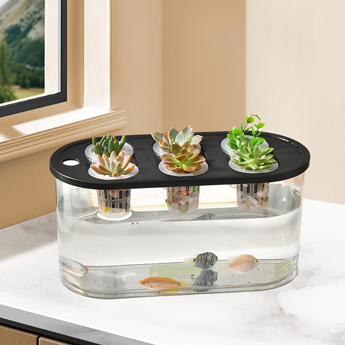 Hydroponics Grower Box Desktop Micro Landscape Tank with 6 Holes Indoor Tabletop Mini Aquarium for Vegetables Plants and Fish- Black