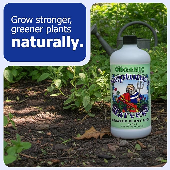 Neptune’s Harvest Seaweed Plant Food (0-0-1) - Multi-Purpose Seaweed Organic Liquid Fertilizer - Indoor &amp Outdoor Plant Fertilizer for Lawns Gardens Vegetables &amp Flowers (Quart)