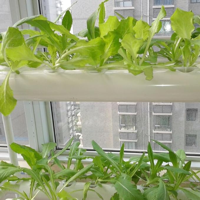 Hydroponics Growing System Kit54 Plant Sites 2 Layers Food-Grade PVC-U Pipes Hydroponic Grow Kit Gardening System with Water Pump TimerNet Pots and Sponge for VegetablesFruitsHerb