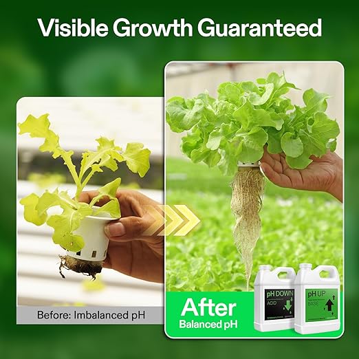VIVOSUN pH Up &amp pH Down Kit 1 Quart Each pH Control Kit for Balanced pH Level and Optimal Nutrient Uptake pH Adjuster Liquid Fertilizer for All Plants and All Growing Systems