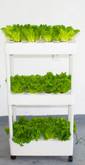 Hydroponics Growing System Indoor Home Used Hydroponic Tower Growing System Grow Planter Box 3Layers Aeroponic System Indoor Vertical Garden Tower with Led Light Indoor Garden