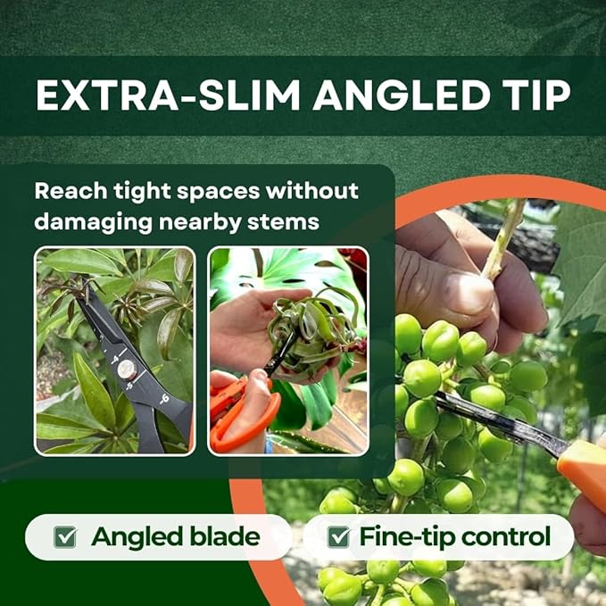 Saboten 6.3 Japanese Harvesting Shears Magnetic Springless Assist Fine-Tip Angled Blade Fluorine-Coated Stainless Steel Ergonomic Non-Slip Grip Safety Lock Made in Japan