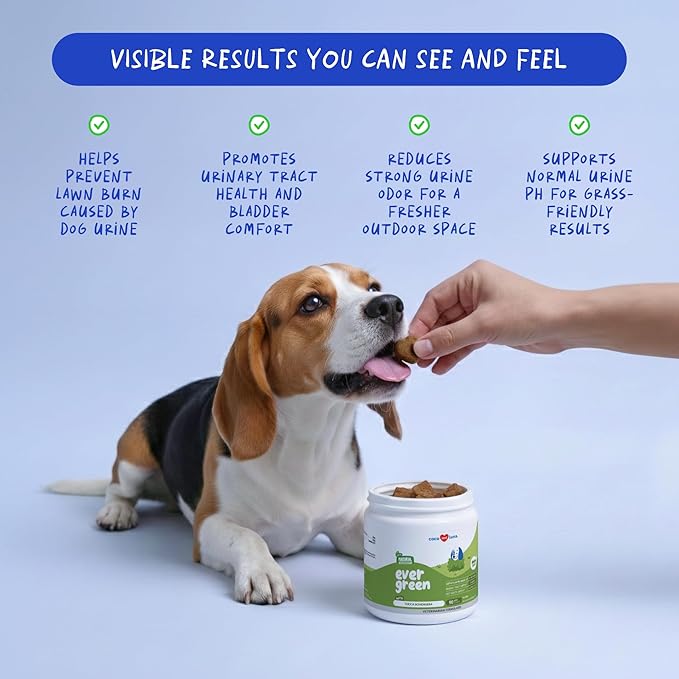 Grass Burn Spot Soft Chews - Pee Grass Spot Saver Caused by Dog Urine - Dog Urine Neutralizer for Lawn with Canine Enzyme Blend Probiotics and Cranberry.