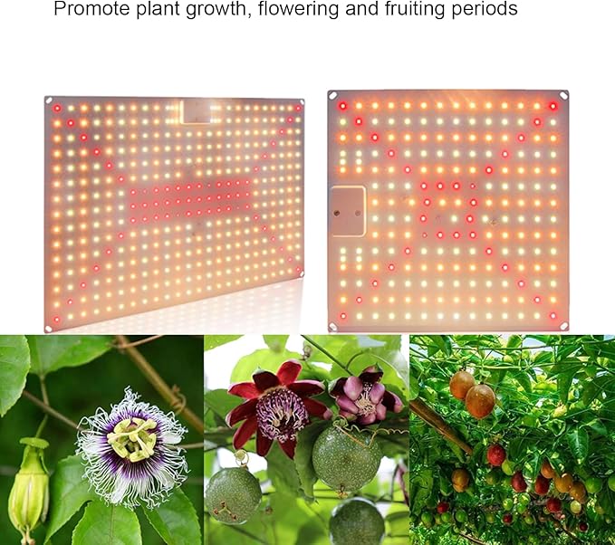 Pl Lamp LED Succulent Fill 50W Full Spectrum Pl Grow Quum Plate Greenhouse Greenhouse Nursery Plng