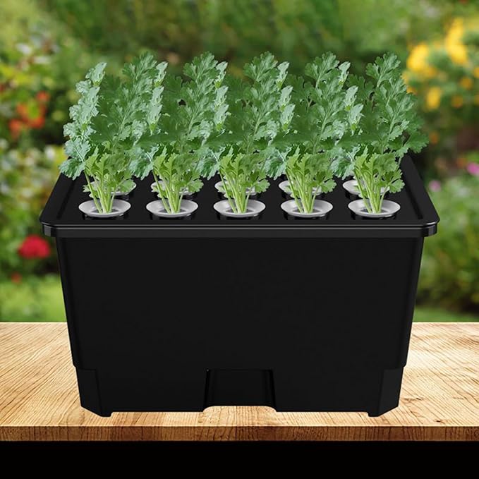 Hydroponic Growing Box Soilless Cultivation System ABS Hydroponics Plant Growth System Household Propagation Box Easy Setup for Home and Small Farm Growing