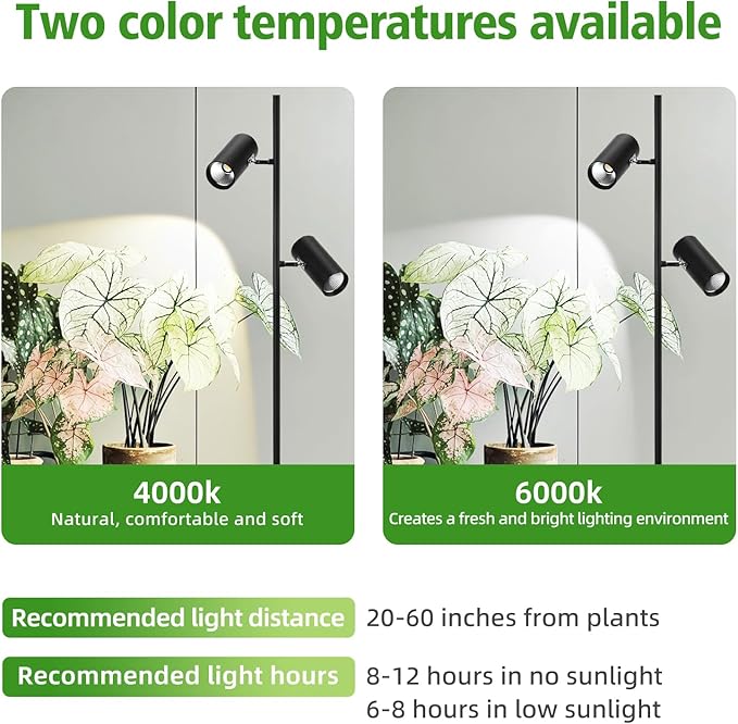 60W Dimmable Grow Light Full Spectrum COB LED Dual-Head Floor Lamp with High CRI 6/8/12H Timer Adjustable Height (37-77) &amp Angle – Standing Grow Lights for Indoor Plants (warm white 4000K)