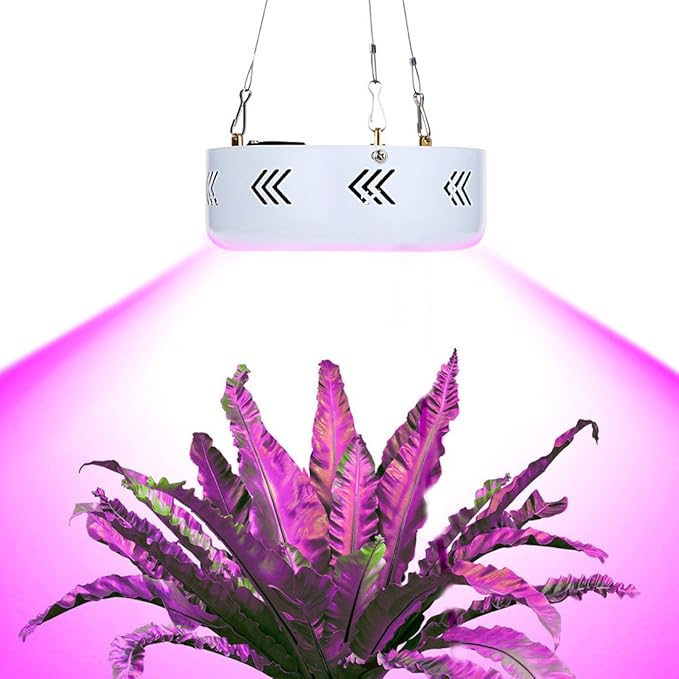 Grow Light - BANGWEIER 150W Brightness 50pcs High Power Full Spectrum Led UFO Grow Light for Plants Flowering Lighting