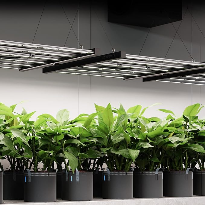 AC Infinity IONFRAME EVO3 Samsung LM301H EVO Bar LED Grow Light 2x4 840 Diodes with Schedule Controller 280W Full-Spectrum Commercial Plant Lights for Indoor Growing in Grow Rooms &amp Greenhouse