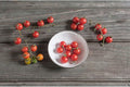 Candyland Red Currant Tomato Seeds (300 Seed Package)