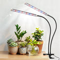 Grow Light for Indoor Plants 120 LEDs Full Spectrum 5700K Plant Lamp with Red Blue White Light 5-Level Dimmable 4/8/12H Timer Adjustable Clamp Stand(Dual Head)