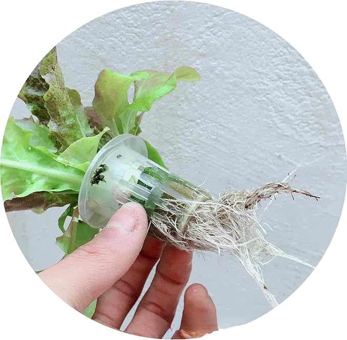 Pipe Type Hydroponic System 3 Layers 108 Holes Soilless Culture Equipment with Water Pump Controller Nest Basket Sponge for Wheatgrass Soybean Mung Hydroponics Nursery Planting