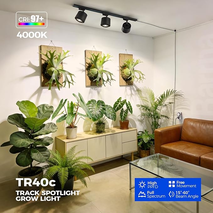 Barrina TR40c Track Grow Light for Indoor Growing 3 x 40W 15°-60° Adjustable Beam Angle 4000K Ceiling Mount Full Spectrum Grow Lamp LED H-Type Plant Light Bulbs for House Plants with Timer Blcak
