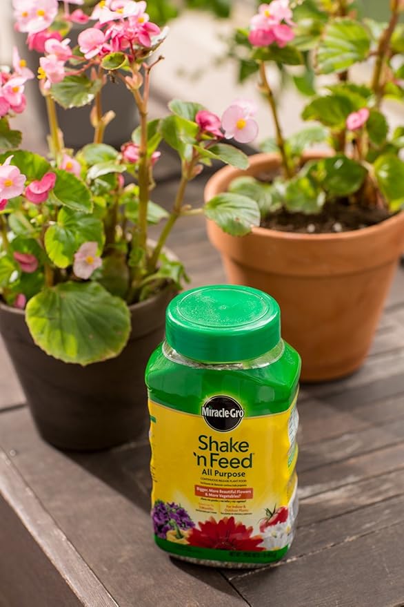Miracle-Gro Shake 'n Feed All Purpose Continuous Release Plant Food 1-Pound (Slow Release Plant Fertilizer)