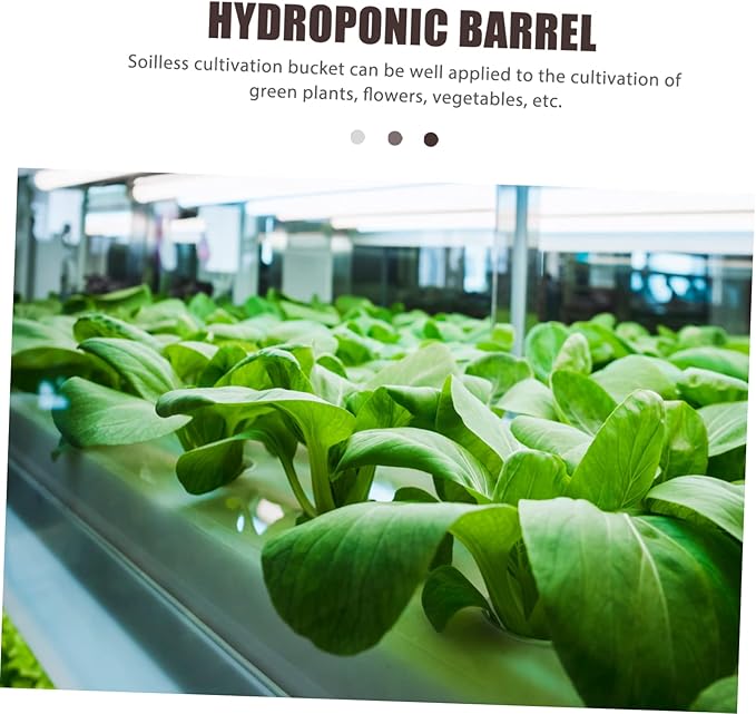Hydroponic System for Greenhouse Planting Suitable for Vegetables Fruits and Flowers Durable Plastic Dutch Planter Multiple Planting Spaces