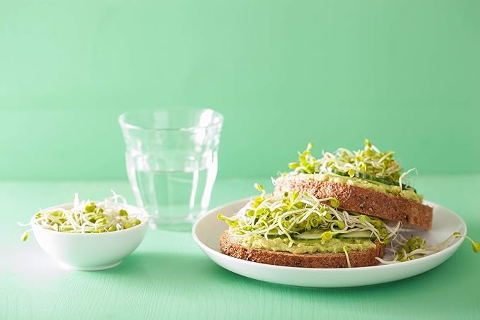 Food to Live Organic Radish Seeds for Sprouting 10 Pounds - Non-GMO Edible Seeds Vegan Kosher Bulk. Spicy Flavor. Rich in Vitamin C. High Germitation Rate. Grow Sprouts Microgreens for Rolls.