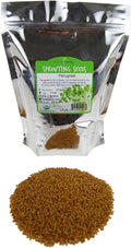 Organic Fenugreek Sprouting Seeds - Seeds for Planting Hydroponics Growing Sprouts Grinding for Spices &amp More (2.5 Lb)