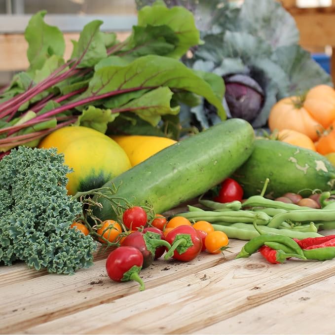 Mountain Valley Seed Company Vegetable Garden Can 50000+ Seeds 16 Varieties for Long Term Storage Emergency Supply Survival Include Tomato Pepper Squash Cucumber Lettuce Carrot &amp More