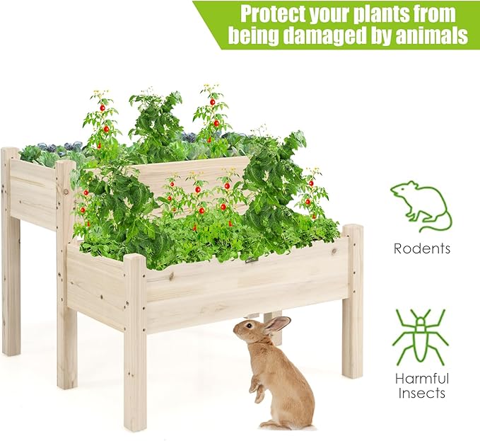 COSTWAY 2-Tier Raised Garden Bed Sturdy Fir Wood Elevated Planter with Legs for Vegetables Herbs &amp Flowers – Indoor &amp Outdoor Use Natural Finish