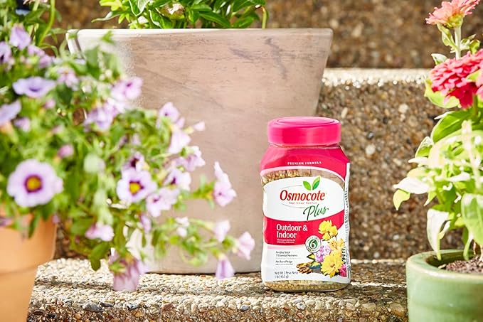Osmocote Smart-Release Plant Food Plus Outdoor &amp Indoor 1 lb. (Pack of 12)