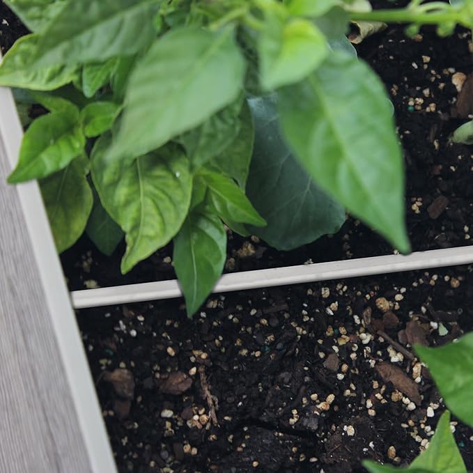 High-Rise Garden Bed
