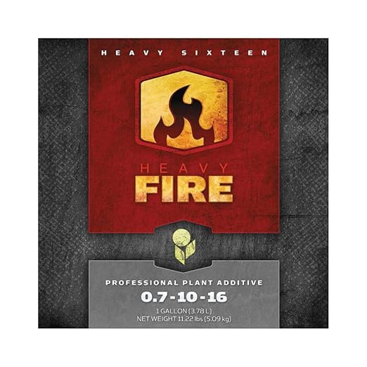 Fire 2.5 Gallon (10L)