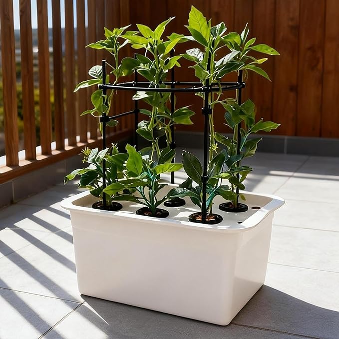 Hydroponic Growing Kit Indoor Garden System - 6 Plant Box (28x19.3x14cm/11x7.6x5.5in) for Lettuce Herbs Flowers