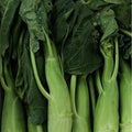 Broccoli Seeds - Chinese Broccoli - Big Stem - 1 Oz ~9000 Seeds - Non-GMO Heirloom - Asian Garden Vegetable &amp Microgreens