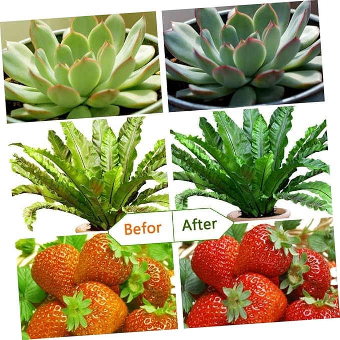 9w Led Grow Light Full Dimmable Levels Timing Plant Grow Light for Indoor Plants Single Head Gooseneck