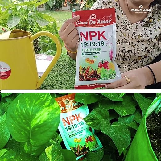 NPK 19-19-19 Fertilizer | Balanced Water-Soluble Plant Food for Growth Flowering &amp Yield Boost | For All Plants | 400 gm