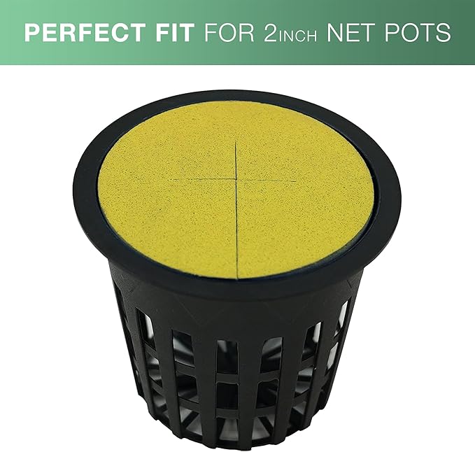 2” Neoprene Foam Inserts for Hydroponics Growing System Clone Machine Propagation Indoor Gardening 100 Pack Yellow
