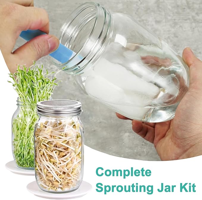 Seed Sprouting Kit 2 Large 1000ML Wide Mouth Mason Jars with Sprout Lids Drain Tray Stainless Steel Stand Cleaning Brush Sprouts Growing Kit for Sprouts Bean Broccoli