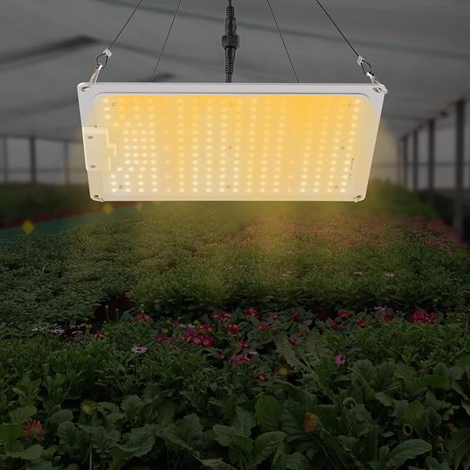 LED Grow Light for Indoor Plants - Dimmable Daisy Chainable Full Spectrum LM301B Diodes Suitable for 2x2 &amp 3x3 Grow Tents