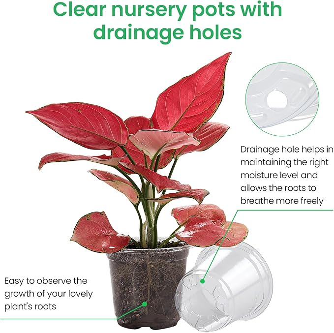 36 Packs 7/5/4/3.5 Inch Reinforced Clear Nursery Pots with Drainage Hole Transparent Variety Pack Plastic Plant Pot Seedling Planter for Vegetable Propagation Root Cutting Seed Starting