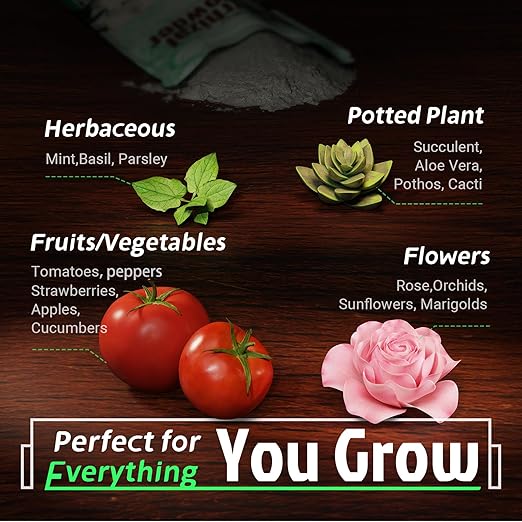 Dr. Raifya's Mycorrhizal Fungi Inoculant 10X Concentrated Up to 700 Plants–Organic Root Stimulator to Strengthen Roots Enhance Growth &amp Increase Yield Safe for Vegetables Flowers &amp Fruits