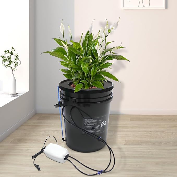 DWC Hydroponics Grow System with Top Drip Kit 5-Gallon Plastic Hydroponic Growing System Kit for Indoor/Outdoor Morus Vegetables