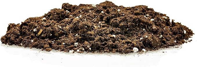 GARDENERA Money Tree Potting Soil - 10 Quart - Soil Mix for Planting or Repotting Guiana Chestnut Blended Mix to Properly Grow Money Tree Plants (2 Bags of 5 Quart)
