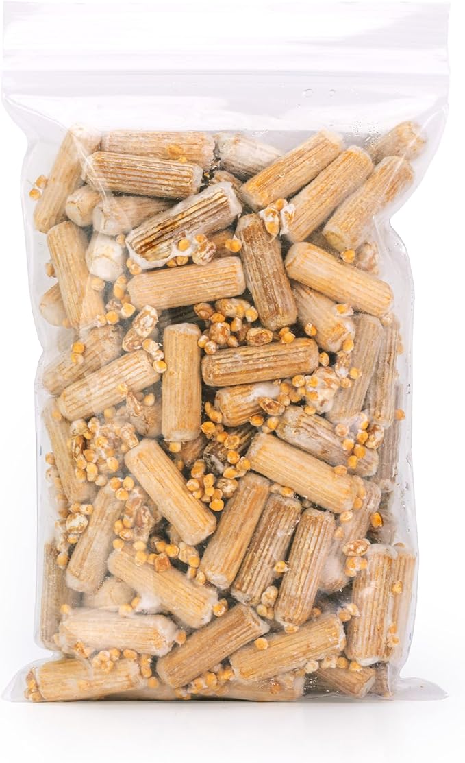 North Spore Organic Nameko (100 ct) Mushroom Plugs for Logs | Premium Quality Mushroom Plug Spawn | Handmade in Maine USA | Grow Gourmet Mushrooms Outdoors on Logs | Pholiota nameko